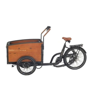 E-Lastenräder Caboocargo Lastenrad, enviolo,250W Mittelmotor,48 V 13,4 Ah akk - Bild 1 von 12