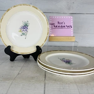 Noritake Sonoma Gardens Impromptu 7936 Marmor Obst Trauben Salatteller 4er Set - Bild 1 von 18