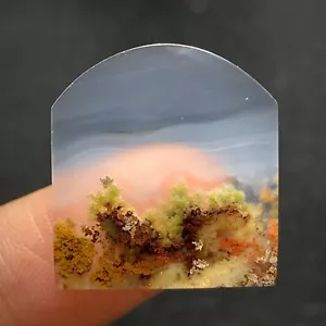 Scenic Moos Achat Cabochon 21,4x20x3,8 mm hochwertig 15,5 ct - Bild 1 von 6