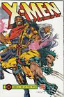 X-Men 1. Serie (Deutsch) Ab 0 , 1 - 47 + Variant - Panini Comics 1997 - 2000 Top