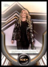 2020 WWE Womens Division Roster #7 Beth Phoenix - NXT