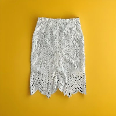 全新 白色 蕾丝裙 拉链 背面 黑色标签 Chico's 尺寸 2 (12/L) 全新带标签 149 美元 — 第 1/4 张图片