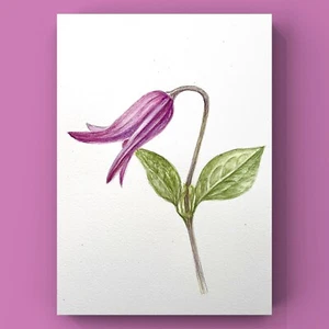 Original brand new watercolor "Clematis” $50 Home decor art gift - Picture 1 of 5