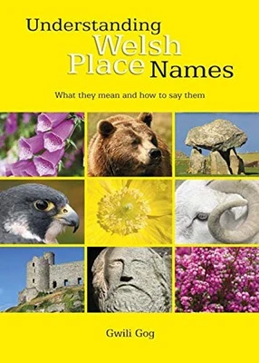 Understanding Welsh Place Names: What They Mean and Ho... by Gwili Gog Paperback - Image 1 of 2