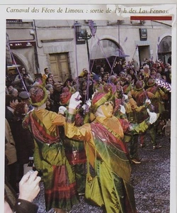 2006 -- CARNAVAL DES FECOS DE LIMOUX 3G577 - Picture 1 of 1