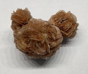 Echter Gips Wüstenrose Kristall, 2,5" x 2,5" x 2,5", 3,5 Unzen oder 100 Gramm - Bild 1 von 6