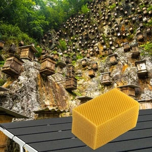 Juego de sábanas de cera de abejas natural Beekeeper's Choice de 30 piezas para necesidades de artesanía - Imagen 1 de 12