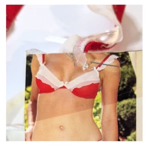 38C Bra Red and White Mesh by Leg Avenue, Sexy Lingerie, New Old Stock with Tag - Picture 1 of 7