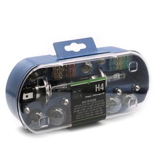 Set lampade auto H4 30 pezzi 12V H4 lampadine fusibili set auto scatola lampade H4 - Foto 1 di 4