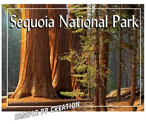 IMÁN FOTO NEVERA PARQUE NACIONAL SEQUOIA 4 X 3 PULGADAS VIAJE - Imagen 1 de 1