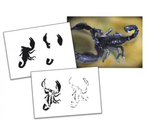 AS-017 Scorpion stencil acrylic airbrush spray wall paint ! Duty-fees free ! - Picture 1 of 2