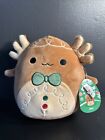 Squishmallows Christmas 8? Den The Axolot Gingerbread Holiday Plush Nwt