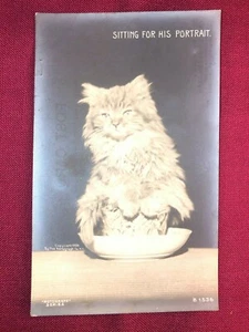 Real Photo Postcard Cat kittens RPPC The Rotogragh "Sitting for his portrait" - Picture 1 of 9