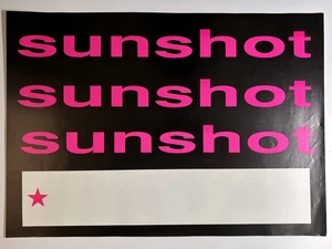 Sunshot Band Poster Original Rare 1980s Punk Indie Rock Promo Tour Blank Print - Foto 1 di 12