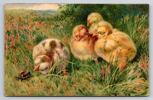 AK Osterküken neugierig auf Käfer im Gras um 1907 AA34 - Bild 1 von 3