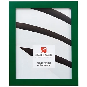Craig Frames Confetti, 0.875 Inch Wide Modern Green Solid Wood Picture Frame - Picture 1 of 11