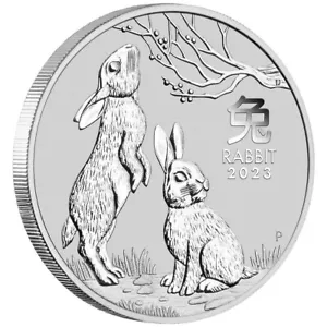 Silbermünze Jahr des Hasen Lunar III. (4.) 2023 - Australien - 1 Oz ST - Bild 1 von 3