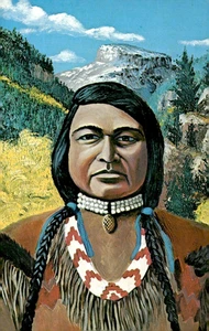 Capo Ouray Nativo Americano Ute Indiano Ritratto Cartolina d'epoca - Foto 1 di 2