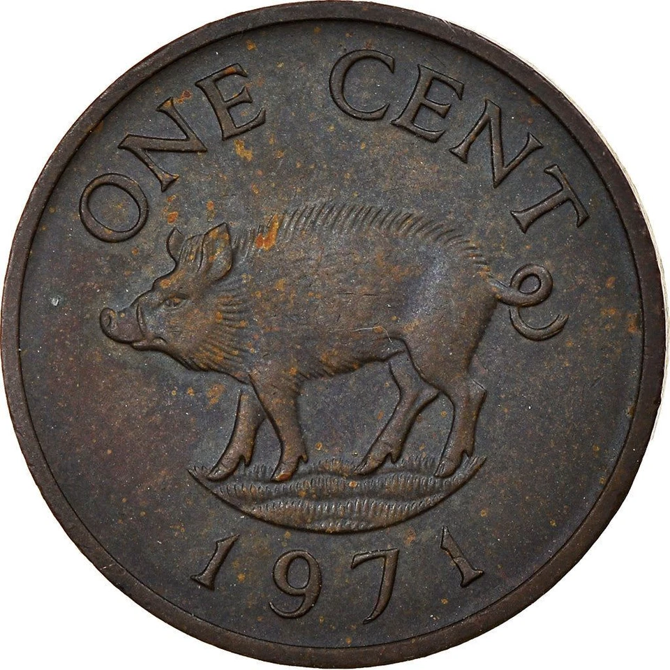 Bermudian 1 Cent Coin | Queen Elizabeth II | Wild Boar | Bermuda | 1970 - 1985 - Image 1 of 4