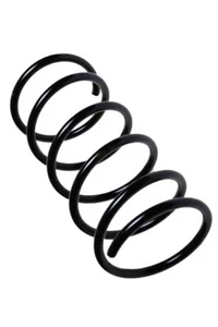 Ford Fusion Petrol 02-04 - Front Spring - Picture 1 of 3