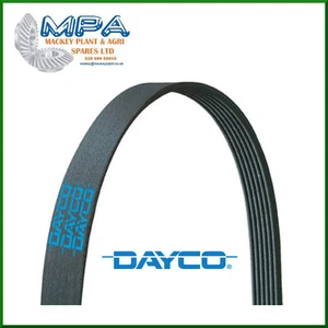 6PK1042-1059SF DAYCO CINTURA VENTILATORE ELASTICA - C30,S40,V50,FOCUS - 6PK1059EE - Foto 1 di 2