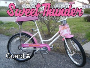 Huffy SWEET THUNDER Decals Only BMX Evel Knievel Both Guard Styles - Picture 1 of 3