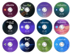 All Ubuntu Based Linux Distros on 12 DVDs mint elementary xubuntu studio kylin - Picture 1 of 2