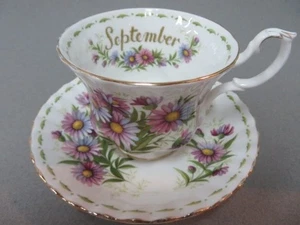 Royal Albert Flower of the Month Teacup & Saucer Seotenber England - Picture 1 of 9