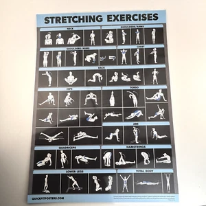 Palace Learning QUICKFIT Stretching Workout Übung Poster - Stretch Routine - Bild 1 von 11
