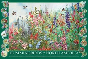 Cobble Hill Colibrì del Nord America puzzle 2000 pezzi - Foto 1 di 3