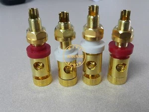 4x Amplificador Hifi Altavoz Terminal Enlace Poste Zócalo Audio Enchapado en Oro - Imagen 1 de 2