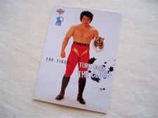 The Tiger Bbm2003 Weekly Pro Wrestling 20Th Anniversary Satoru Sayama Satoshi Fi