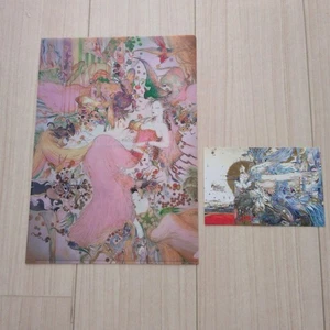 Amano Yoshitaka File - Picture 1 of 5