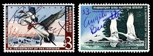 RW29 - 33 PATOS FEDERALES USADOS - EN MUY BUEN ESTADO (ESP#7155) - Imagen 1 de 1