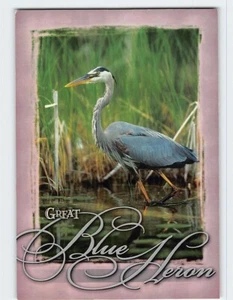 Postal Gran Garza Azul - Imagen 1 de 2