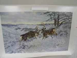 Battling Bucks Mule Deer Print by Michael Sieve S/N Ltd. Ed. - Picture 1 of 7