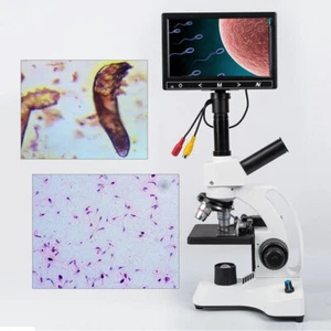 40X-2000X Biological Microscope Sperm Locust Blood Test Microsocpe w/7″ Screen - Picture 1 of 12