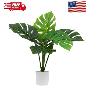 20"H Artificial Indoor Monstera Plant in Plastic Vanilla Plant Container - Picture 1 of 8