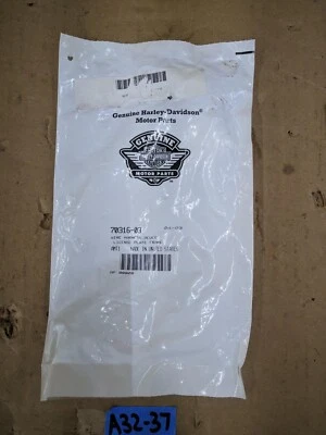 Arnés de cableado de matrícula Harley-Davidson Softail FXSTD Deuce 70316-03 Foto 1 de 4