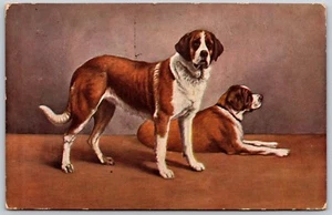 Postcard St Bernards Tucks Oilette 6818 Favourite Dogs 1911 - Picture 1 of 2