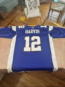 Percy Harvin Minnesota Vikings Purple Reebok Jersey Size 52 - Picture 1 of 6