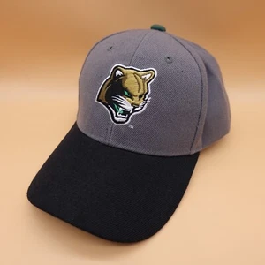 Gorra de béisbol Kane County Cougars ropa de melón gris ajustable MiLB - Imagen 1 de 12
