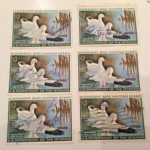 6. USED MIGRATORY BIRD HUNTING CONSERVATION STAMP 1970 - Picture 1 of 6