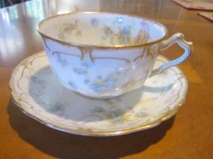 Haviland Limoges Tea cup and saucer, Sch 57E - Picture 1 of 4