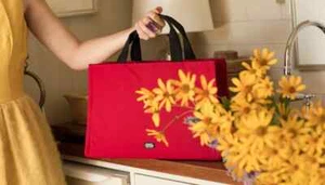 BORSA TOTE BAG FRANCES VALENTINE KATE ROSSA NYLON SUPERIORE MANICO ZIP - Foto 1 di 6