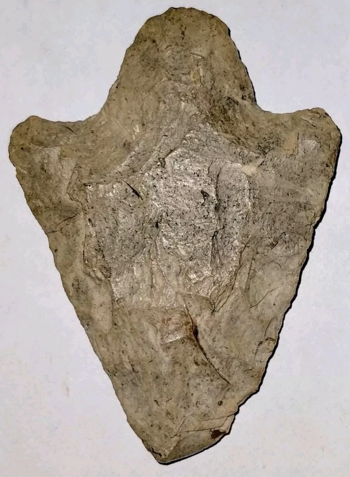 Florida Native American Arrowhead — 第 1/4 张图片