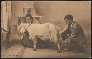 cartolina costumi siciliani TIPI SICILIANI MUNGITURA CAPRA - Picture 1 of 1