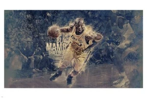 the BLACK MAMBA shall RISE kobe BRYANT poster 20x30 Basketball Star cool - Picture 1 of 1