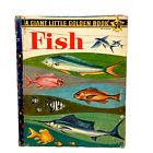 Antique 1959 Fish A 1St Edition Giant Little Golden Book Herbert S Zim 5023