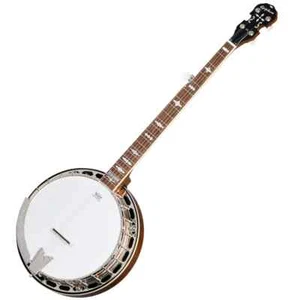 Epiphone / Mastertone Classic Banjo Natural - Picture 1 of 11